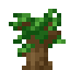 DARK_OAK_SAPLING